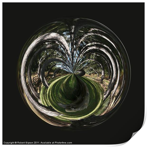 Spherical Paperweight tangled wood Print by Robert Gipson