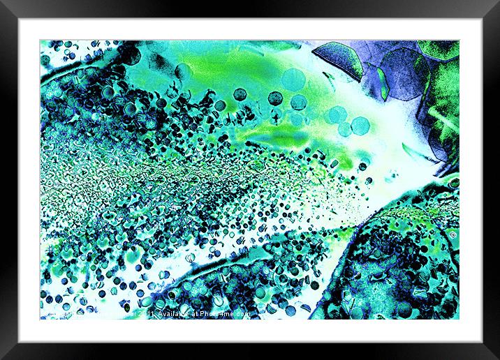 Abstract Leaf and Light I Framed Mounted Print by Natalie Kinnear