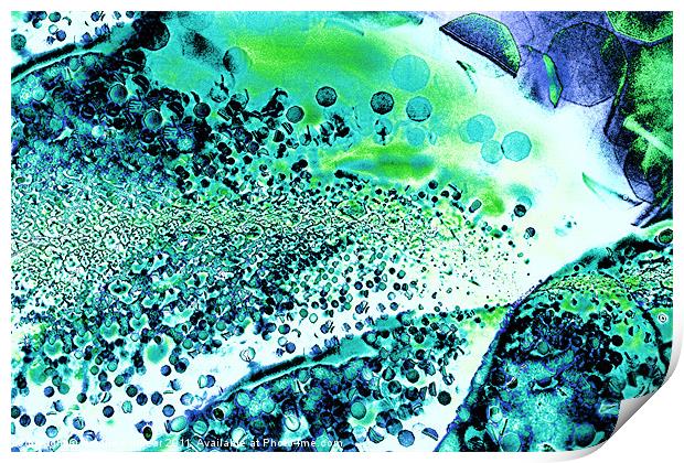 Abstract Leaf and Light I Print by Natalie Kinnear