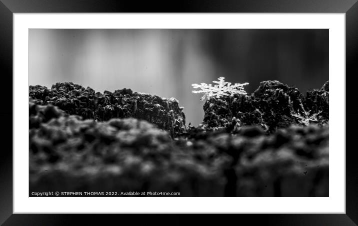 Snowflake On Top Of A Fence - Macro Framed Mounted Print by STEPHEN THOMAS