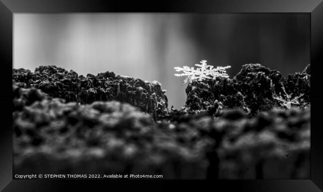 Snowflake On Top Of A Fence - Macro Framed Print by STEPHEN THOMAS