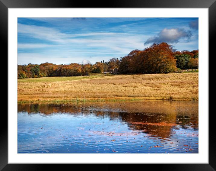 Longshaw Pond     Framed Mounted Print by Darren Galpin