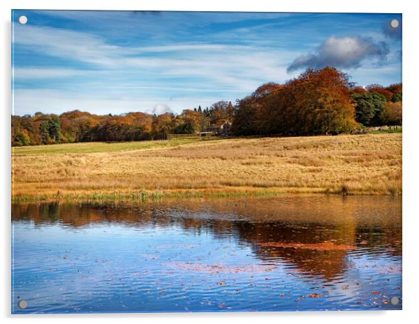 Longshaw Pond     Acrylic by Darren Galpin