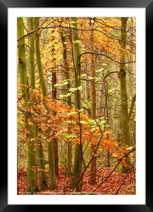 December Autumn  Framed Mounted Print by Simon Johnson
