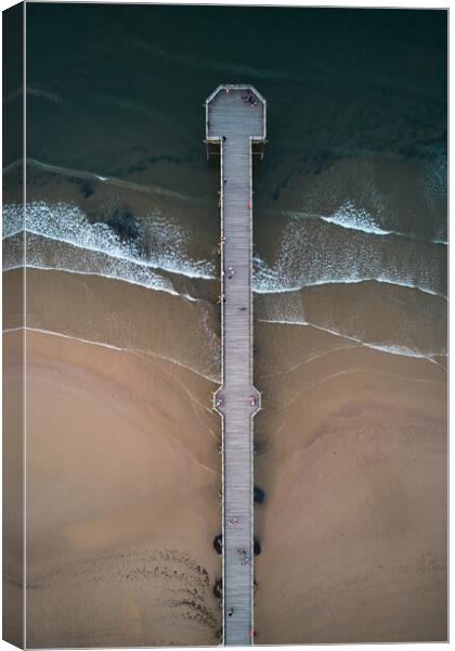Saltburn by the Sea from above Canvas Print by Dan Ward