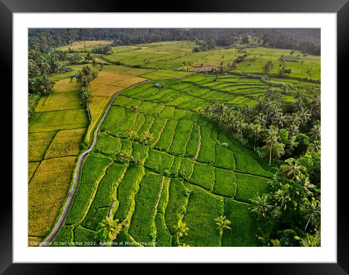 Bali Rice Terraces  Framed Mounted Print by Jan Venter