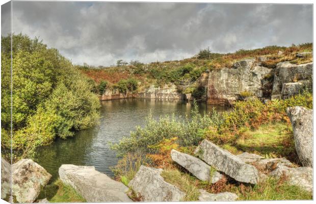 Bodmin moor Carbilly Tor disused quarry  Canvas Print by Diana Mower