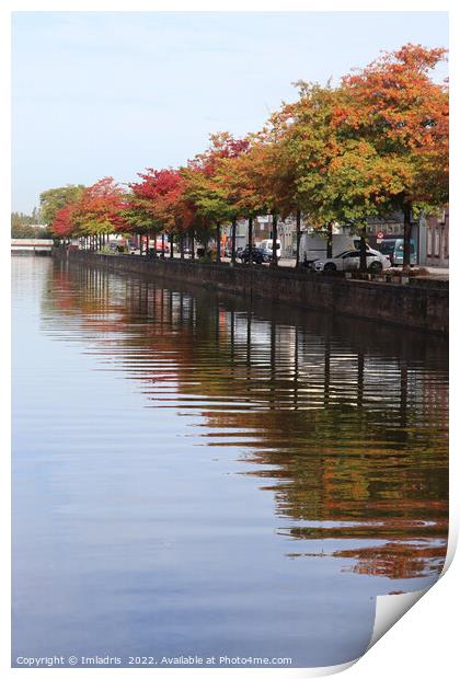 River Dender Autumn View, Aalst, Belgium Print by Imladris 
