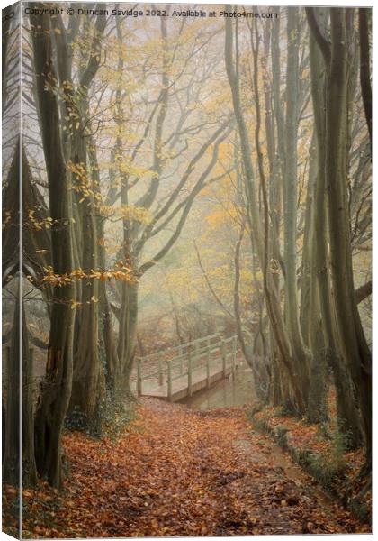Foggy beech tree tunnel to the bridge Canvas Print by Duncan Savidge