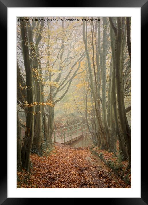 Foggy beech tree tunnel to the bridge Framed Mounted Print by Duncan Savidge