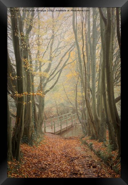 Foggy beech tree tunnel to the bridge Framed Print by Duncan Savidge