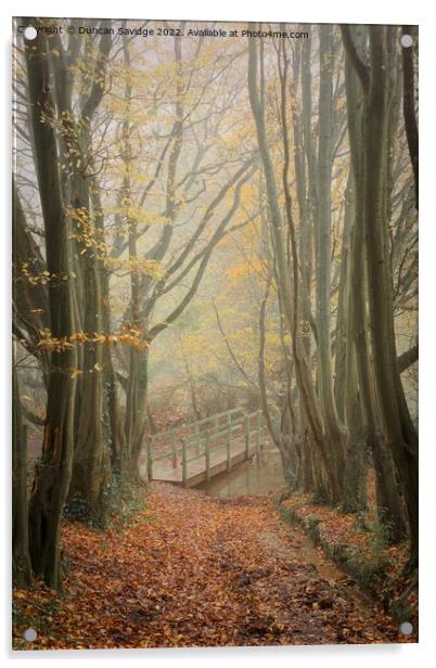 Foggy beech tree tunnel to the bridge Acrylic by Duncan Savidge