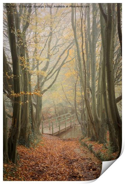 Foggy beech tree tunnel to the bridge Print by Duncan Savidge