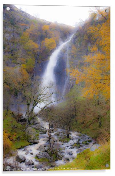 Aber Falls or Rhaeadr Fawr in Autumn Acrylic by Pearl Bucknall