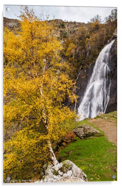 Autumn at Aber Falls Waterfall Snowdonia Acrylic by Pearl Bucknall