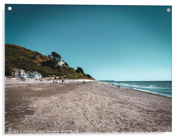 Seaton beach, Cornwall Acrylic by Chris Rose