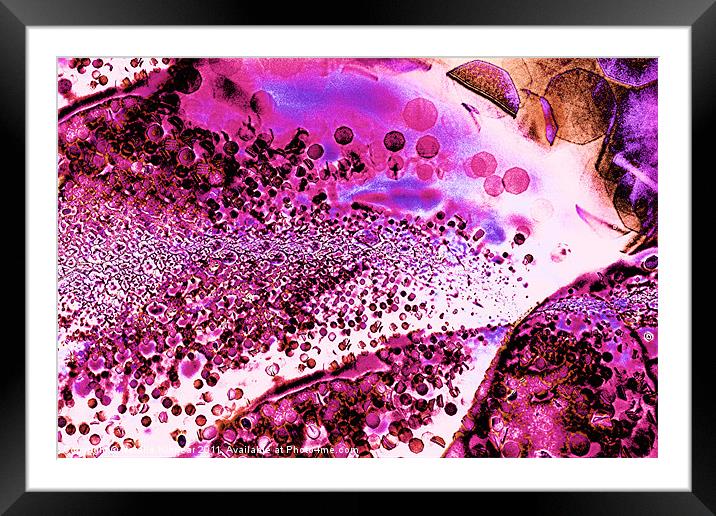 Abstract Leaf and Light IV Framed Mounted Print by Natalie Kinnear