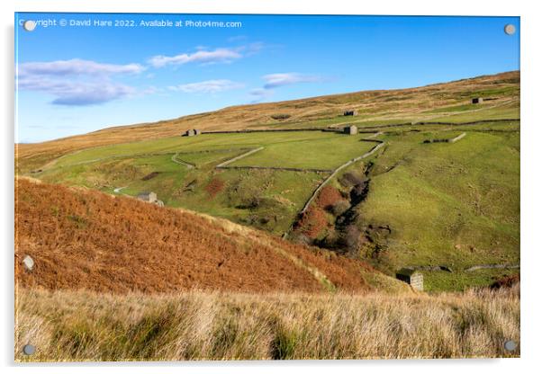 Stonesdale Banty Barns Acrylic by David Hare