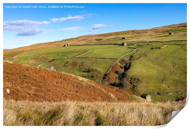 Stonesdale Banty Barns Print by David Hare