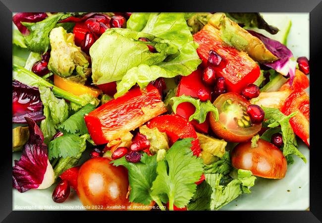 Plate with green vegan salad Framed Print by Mykola Lunov Mykola