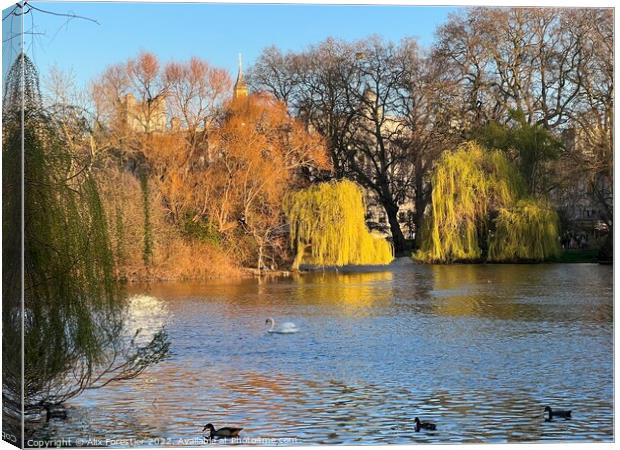 The Pond and the Willows - St James Park - London  Canvas Print by Alix Forestier