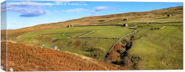 Stonesdale Banty Barns Canvas Print by David Hare