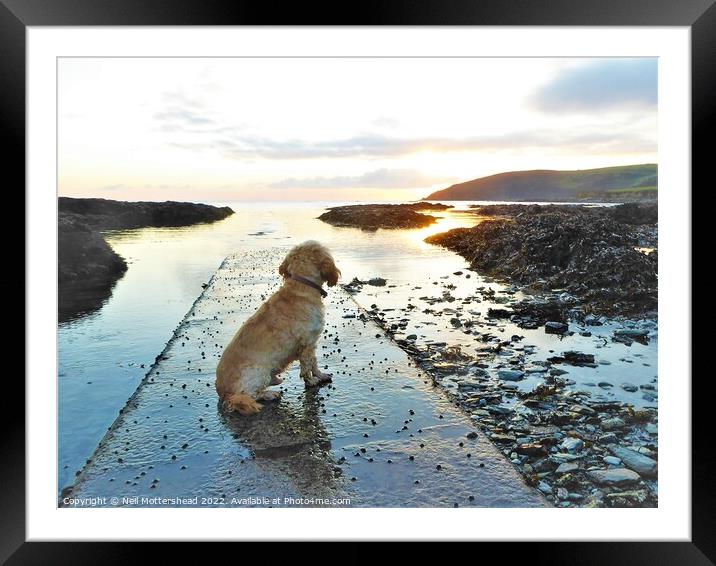 Watching The Sun Go Down. Framed Mounted Print by Neil Mottershead