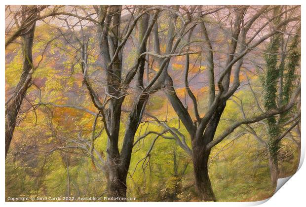 Entrelazados del Montseny - CR2211-8318-OIL Print by Jordi Carrio