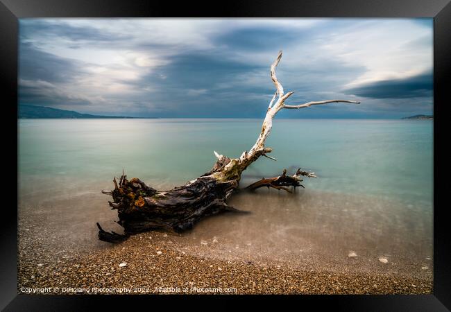 Sarande Driftwood Framed Print by DiFigiano Photography