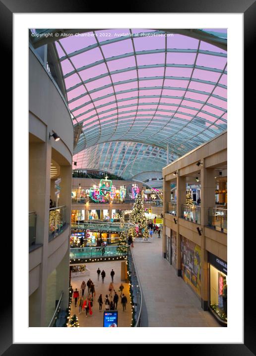 Trinity Leeds Portrait   Framed Mounted Print by Alison Chambers