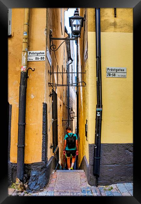 Stockholms Narrowist Street Framed Print by Antony McAulay