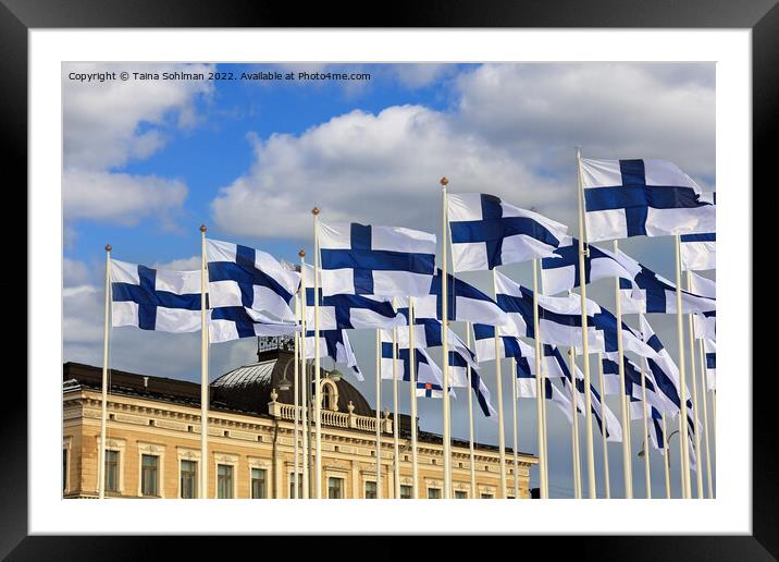Installation of 100 Flags of Finland Framed Mounted Print by Taina Sohlman