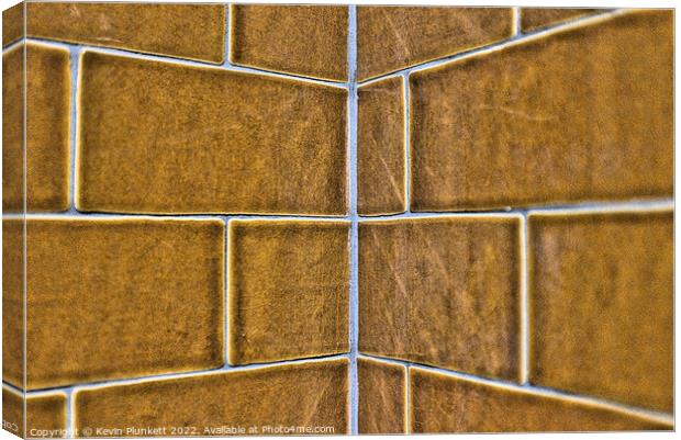 Wall Tiles Canvas Print by Kevin Plunkett