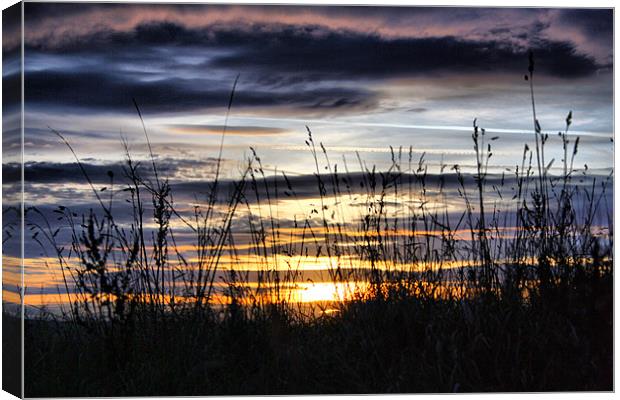 Sunset & Silhouettes Canvas Print by Sandi-Cockayne ADPS