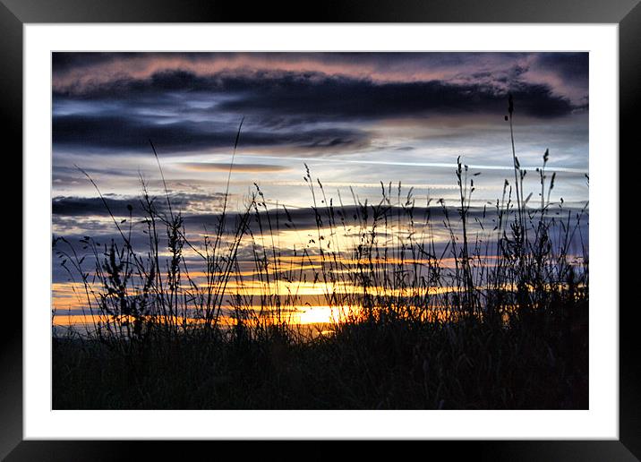 Sunset & Silhouettes Framed Mounted Print by Sandi-Cockayne ADPS