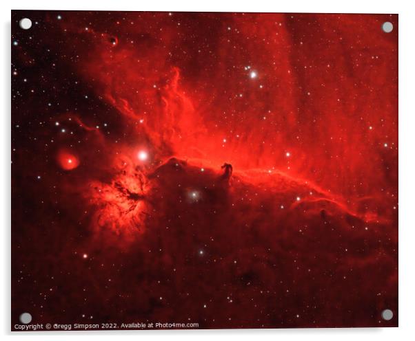 Horsehead & Flame Nebulae Acrylic by Gregg Simpson