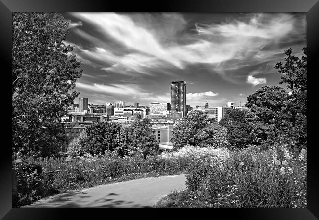 Sheffield Skyline  Framed Print by Darren Galpin