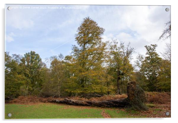 Enchanting Autumn Woodland Acrylic by Derek Daniel