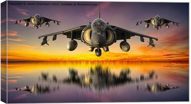 Harrier Jump Jets Canvas Print by Alison Chambers