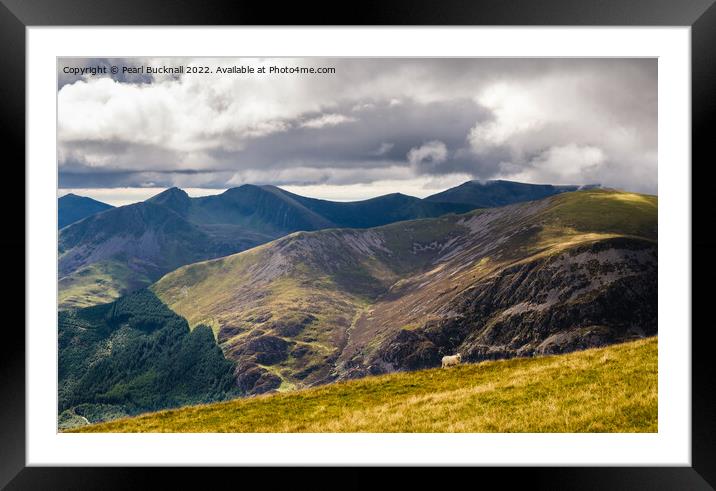 Mountain Landscape from Moel Eilio in Snowdonia Framed Mounted Print by Pearl Bucknall