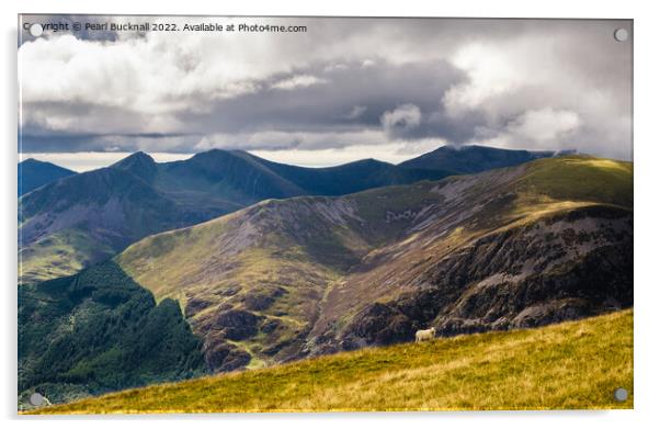 Mountain Landscape from Moel Eilio in Snowdonia Acrylic by Pearl Bucknall
