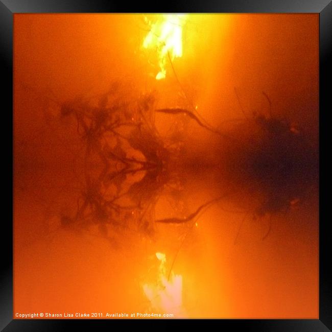 Reflections of Fire Framed Print by Sharon Lisa Clarke