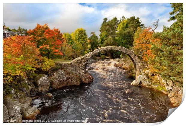 Carrbridge Packhorse Bridge Cairngorms NP Scotland Print by Barbara Jones