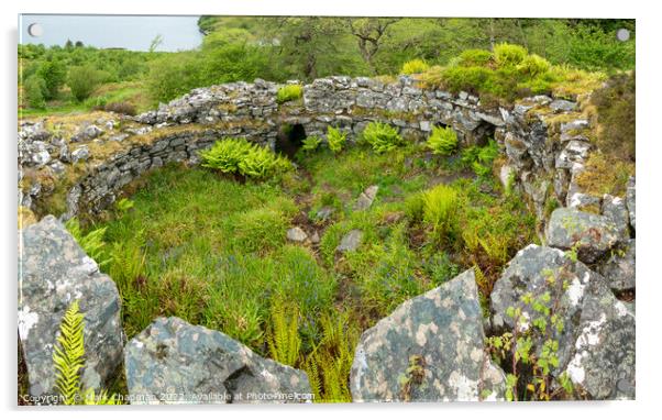 Iron Age Broch, Totaig, Scotland Acrylic by Photimageon UK