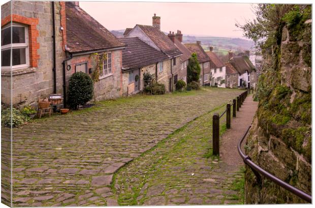 Gold Hill in Shaftesbury Canvas Print by Leighton Collins
