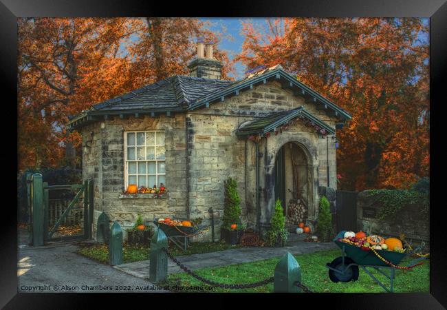 Autumn at Octagon Lodge Wentworth  Framed Print by Alison Chambers