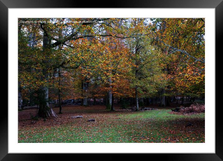 Vibrant Autumn Woods Framed Mounted Print by Derek Daniel