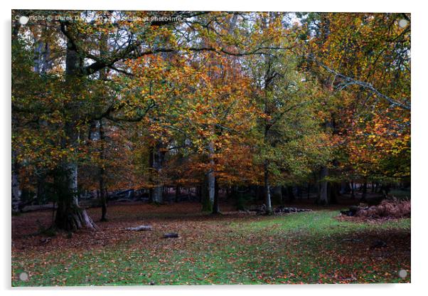 Vibrant Autumn Woods Acrylic by Derek Daniel