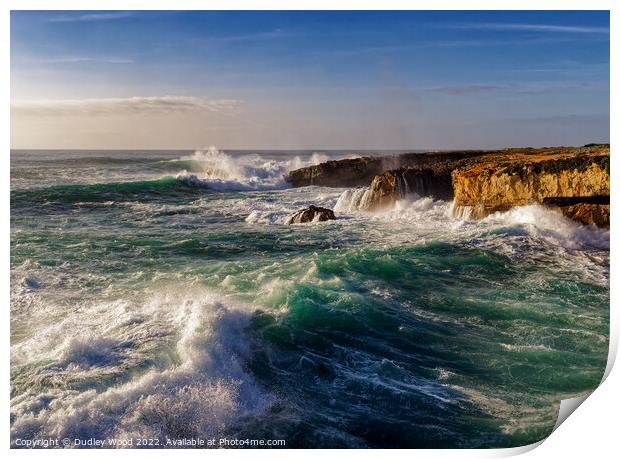 Majestic Jurassic Seascape Print by Dudley Wood