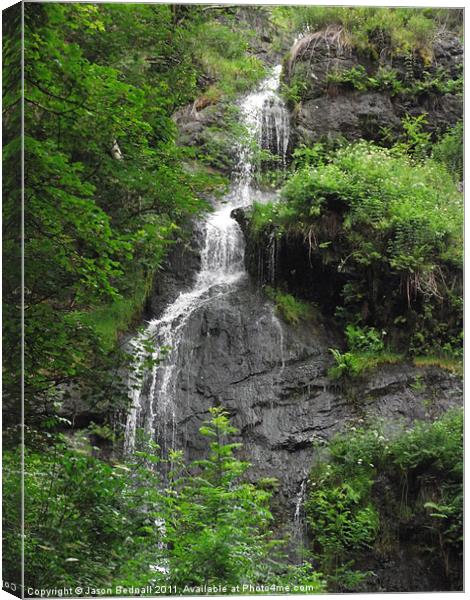 A view of Canonteign Falls Canvas Print by Jason Bednall